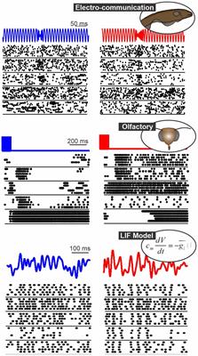 Characterizing neural coding performance for populations of sensory neurons: comparing a weighted spike distance metrics to other analytical methods